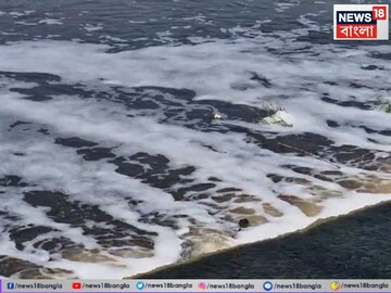 Bengali News: এ যেন দিল্লির যমুনা…! ফেনায় ফেনায় ঢেকে গেল কোপাই, আচমকা কী ঘটছে? আতঙ্কে বাসিন্দারা
