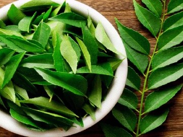 কোলেস্টেরল এবং রক্তে শর্করার পরিমাণ নিয়ন্ত্রণে রাখে কারি-পাতা... কীভাবে খেতে হবে জানুন কোলেস্টেরল এবং রক্তে শর্করার পরিমাণ নিয়ন্ত্রণে রাখে কারি-পাতা... কীভাবে খেতে হবে জানুন