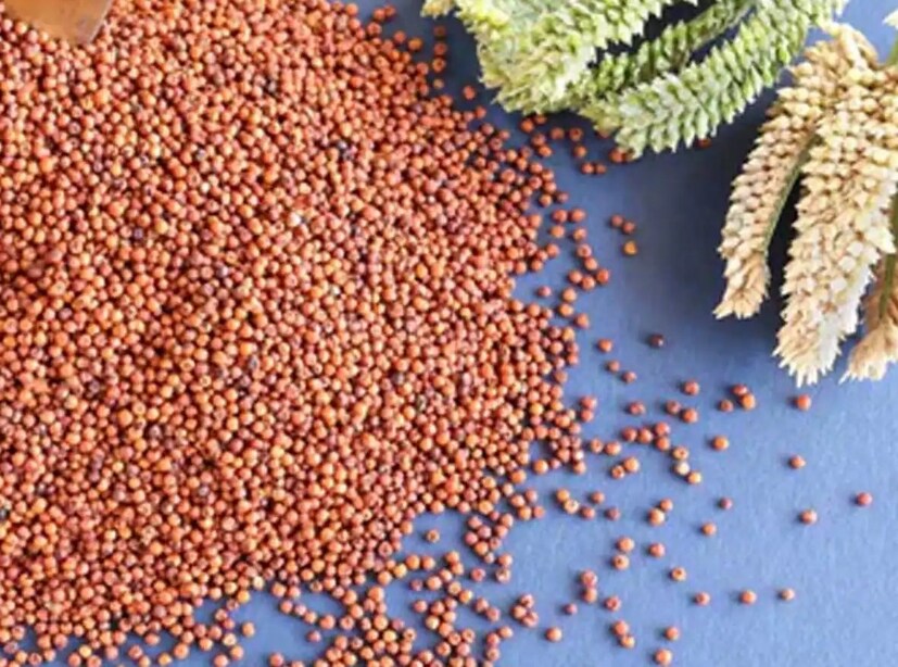 রাগি ক্যালসিয়াম এবং ডায়েটারি ফাইবারের একটি পাওয়ার হাউস, যা রক্তে শর্করার মাত্রা স্থিতিশীল রাখার জন্য এটিকে চমৎকার করে তোলে। সকালে রাগি পরিজ উপভোগ করুন, অথবা পুষ্টিকর খাবারের জন্য রাগি দোসা তৈরি করুন।