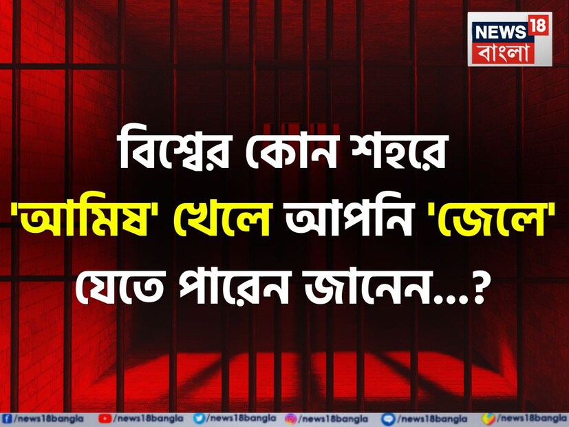 খাদ্য তালিকার দিক থেকে গোটা বিশ্বের মানুষকে মূলত আমিষভোজী ও নিরামিষাশী এই দুই ভাগে ভাগ করা হয়ে থাকে। বর্তমান যুগে যদিও 'ভেগান', 'এগিটারিয়ান' ইত্যাদি শব্দের প্রচলন আরও কিছু শ্রেণীর কথা বলে, তবে মূলত যাঁরা নিরামিষ খাবার খেতে পছন্দ করেন তাঁদের নিরামিষাশী ও যাঁরা বেশী আমিষ, অর্থাৎ মাছ-মাংস ইত্যাদি খাবার নিজেদের খাদ্যতালিকায় জুড়তে ভালোবাসেন তাঁদের আমিষভোজী বলা হয়ে থাকে। Representative Image 