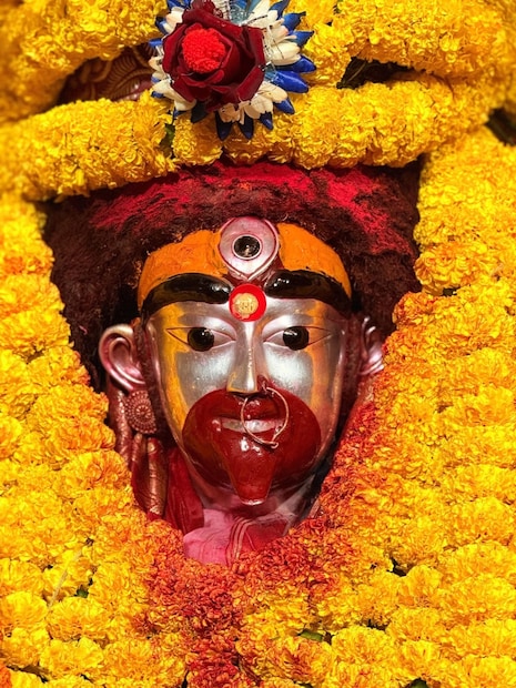 ফলহারিণী কথার অর্থ হল ফল হরণকারী। যিনি অশুভ ফল হরণ করেন তাঁকেই ফলহারিণী বলা হয়। জ্যৈষ্ঠ মাসের অমাবস্যা তিথিতে দেবী কালী পূজিত হন ফলহারিণী নামে। বিশ্বাস করা হয়, এই তিথিতে দেবীর পূজা-আরাধনায় অশুভ কাজের ফল নাশ হয় এবং শুভ ফল প্রাপ্ত হয়৷