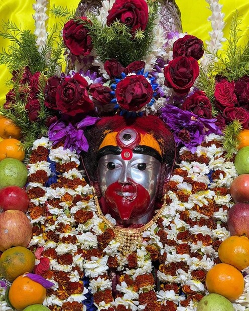 কোনও মনোবাঞ্ছা পূর্ণ করার ইচ্ছে থাকলে ফলহারিণী তিথিতে দেবীর পায়ে নিজের প্রিয় একটি ফল উৎসর্গ করুন৷ এর পর আগামী ১ বছর সেই ফল খাবেন না৷ মনোবাঞ্ছা পূর্ণ হলে পরের বছর সেই ফল ফের নিবেদন করে দেবীর কাছে প্রার্থনা করে আবার খাওয়া শুরু করতে পারেন৷ অর্থাৎ যেটা নিবেদন করেছিলেন, সেটা আবার খাওয়ার অনুমতি লাভ করবেন৷ (ছবি: ফেসবুক)