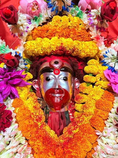 ফলহারিণী তিথিতে কোনও পোড়া খাবার খাবেন না৷ বেগুন পোড়া, টম্যাটো পোড়া মুখে তুলবেন না৷ বিরত থাকুন রুটি খাওয়া থেকেও৷ কারণ রুটি তৈরি হয় সেঁকে৷ (ছবি: ফেসবুক)