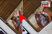 লেডিস 'ফার্স্ট ক্লাসে' বসেছিলেন তরুণী..., আচমকা জানালার কাছে এগিয়ে এল লোকটা, পরমুহূর্তেই..