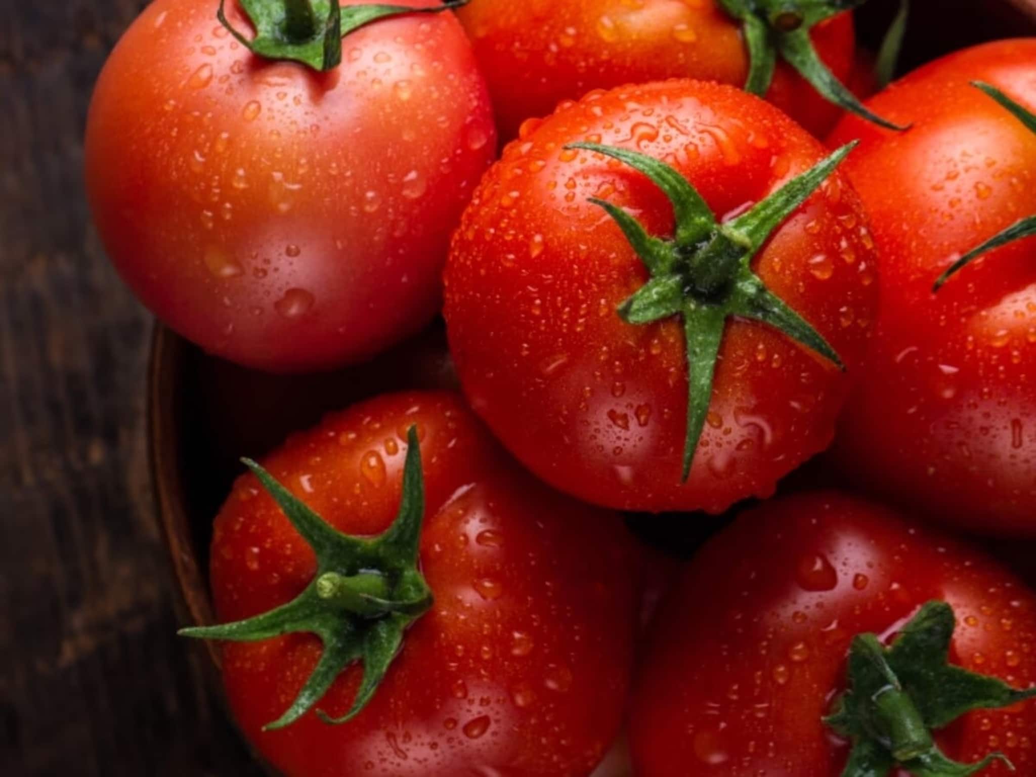Tomato : টমেটোকে বাংলার কী বলে? ১০০-র মধ্যে ৯৮ জন বলতে পারবেন না, আপনি জানেন?