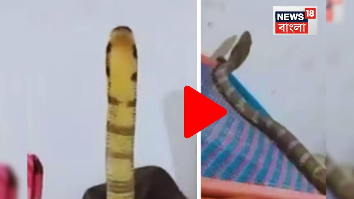 বিছানায় শুয়ে যুবক, ক্যামেরা ‘অন’! পা বেয়ে যা উঠে এল… কল্পনাও করতে পারবেন না! তাজ্জব দুনিয়া! বিছানায় শুয়ে যুবক, ক্যামেরা ‘অন’! পা বেয়ে যা উঠে এল… কল্পনাও করতে পারবেন না! তাজ্জব দুনিয়া!