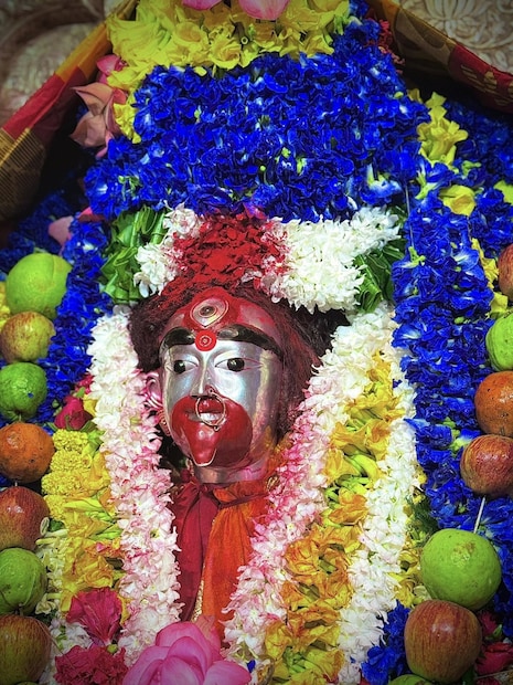 এই দিন সকাল থেকে ফলহারিণী অমাবস্যায় মেতে উঠেছে বীরভূমের তারাপীঠ। সোমবার ১১ জ্যৈষ্ঠ সকাল ১১ টা বেজে ৯ মিনিট থেকে আগামিকাল মঙ্গলবার অর্থাৎ ১২ জৈষ্ঠ্য সকাল ৮টা বেজে ৪৬ মিনিট পর্যন্ত এই ফলহারিণী অমাবস্যা থাকছে। এইদিন সন্ধ্যায় মা তারাকে রাজরাজেশ্বরী বেশে সাজিয়ে বিভিন্ন রকমের ফলের মালা পরিয়ে পুজো শুরু হয়েছে। (ছবি: ফেসবুক)