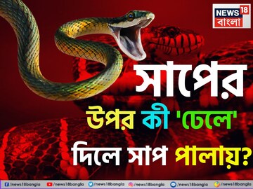 সাপের উপর কী 'ঢেলে' দিলে সাপ 'পালায়' বলুন তো...? চমকে যাবেন 'নাম' শুনলেই!