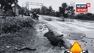 ভয়াবহ দুর্ঘটনা