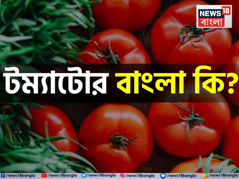 এই প্রতিবেদনে তুলে ধরা হয়েছে তেমনই একটি প্রশ্ন হলেও এর উত্তর অনেকের কাছেই অজানা। বলুন তো দেখি,টম্যাটো তো আমরা কম-বেশি সবাই খাই। কিন্তু এই টম্যাটোর বাংলা কী? যার উত্তর দিতে গিয়ে হিমসিম খাচ্ছেন অনেকেই।