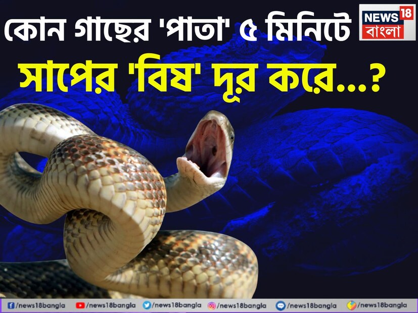 সাধারণ জ্ঞান যেমন আমাদের নতুন নতুন দেশ বিদেশের তথ্য দেয়, তেমনই আবার জিকের অলিন্দে কিন্তু এমনও বহু তথ্য থাকে যা দৈনন্দিন জীবনের নানা ব্যবহারিক তথ্যের খোঁজ দেয় যা সময়ে সময়ে আমাদের বড় বিপদ ও স্বাস্থ্য ঝুঁকি থেকে বাঁচিয়ে দেয়।