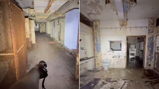 দ্বিতীয় বিশ্বযুদ্ধের পরিত্যক্ত হাসপাতালের ভিডিও দেখলে গায়ে কাঁটা দেবে (Photo: Instagram/losthistorie) দ্বিতীয় বিশ্বযুদ্ধের পরিত্যক্ত হাসপাতালের ভিডিও দেখলে গায়ে কাঁটা দেবে (Photo: Instagram/losthistorie)