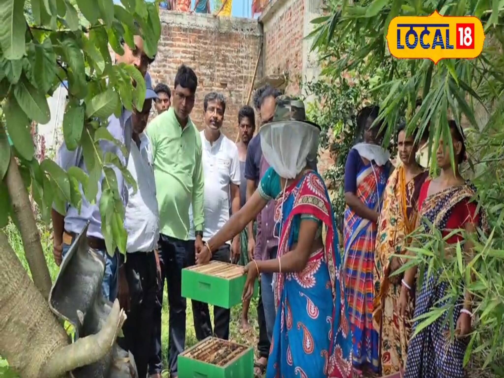 Bee Farming: কৃষিকাজ না হলেও চাপ নেই! প্রাকৃতিক সম্পদকে হাতিয়ার করেই নতুন আয়ের খোঁজ ঝাড়গ্রামে