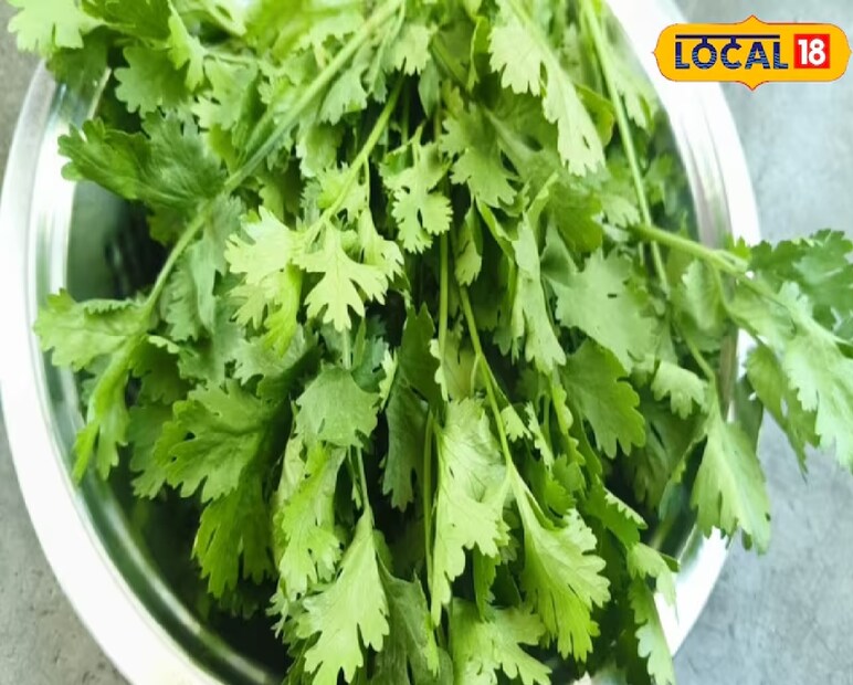 এরপর ডিএপি ও পটাশ সার মিশিয়ে জমি আবার চাষ করতে হবে যাতে জমি নরম হয়। এমন প্রস্তুতিতে ধনে গাছ দ্রুত ও সঠিকভাবে বেড়ে ওঠে।