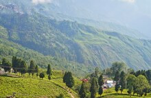 দার্জিলিংয়ে মেঘের কোলে স্কাই ওয়াক
