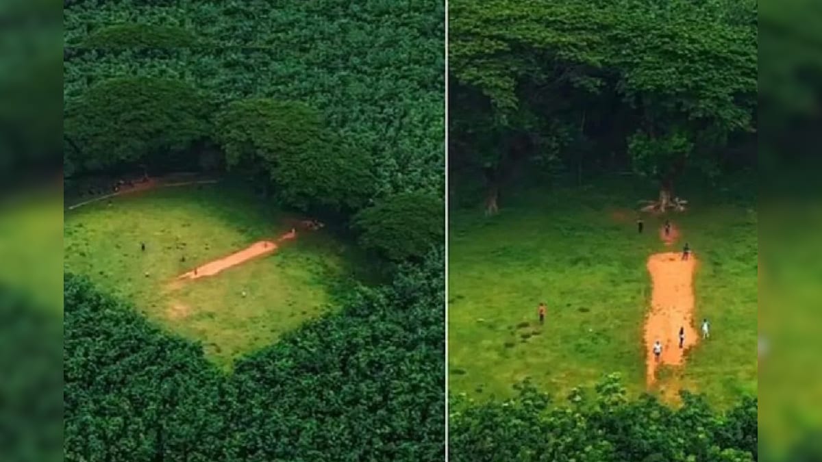 Viral Field of Kerala- কেরালার জঙ্গলে ঘেরা একটি ক্রিকেট মাঠের ছবি ভাইরাল