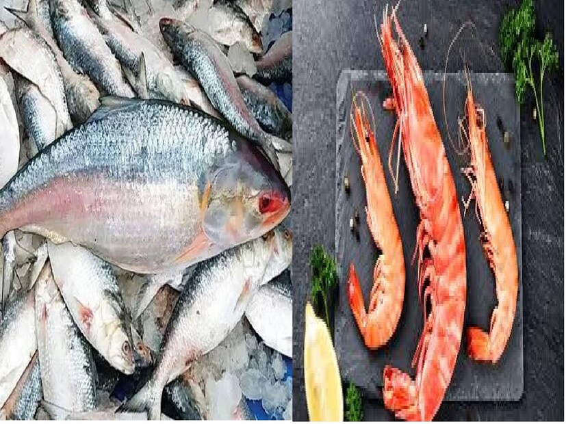 মুর্শিদাবাদ: ইলিশ মাছের সঙ্গে এবার ফরাক্কা ব্যারেজে গঙ্গা নদীর আপস্ট্রিমে গলদা চিংড়ি মাছের সংখ্যা বাড়ানোর জন্য উদ্যোগ নিল কেন্দ্র সরকারের মৎস্য গবেষণা কেন্দ্র আইসিএআর -সিফরি। কেন্দ্র সরকারের নামাম গঙ্গে প্রকল্পের অংশ হিসেবে গঙ্গা নদীর 'বায়ো ডাইভার্সিটি' বাড়ানোর লক্ষ্য নিয়ে ফরাক্কা ব্যারেজ সংলগ্ন এলাকায় গঙ্গা নদীতে প্রায় আড়াই লক্ষ গলদা চিংড়ির চারাপোনা ছাড়া হয়। 