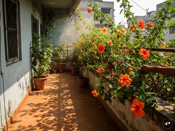 বাড়ির বাগান ভরে থাকবে জবা ফুলে, গোড়ায় দিন এই জিনিস... ফুল রাখার জায়গা পাবেন না!