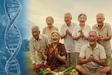১১৫ বছর বাঁচতে চান? বিজ্ঞানীরা বলে দিলেন সহজ ৫ 'উপায়'! সঙ্গে প্লেট থেকে বাদ দিন এই ৩ জিনিস