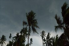 রাতের মধ্যেই ফের তুমুল কালবৈশাখীর তাণ্ডব? রবিবার দিনভর উত্তর-দক্ষিণে কেমন আবহাওয়া? জানুন