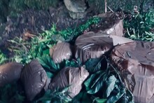 কেন ধরা যাচ্ছে না পহেলগাঁও হামলার জঙ্গিদের? হাইড আউটই আসল কারণ! কী এই হাইড আউট জানেন?