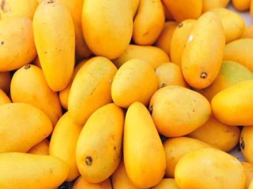 কিন্তু সত্যি কি তাই? সত্যিই কি সুগারের রোগীদের জন্য এই মিষ্টি ফলটি বিষসমান? সত্যি কি ফল খেলে আপনি মোটা হয়ে যাবেন? কী বলেন বিশেষজ্ঞরা? উত্তর জানতে আমরা কথা বলেছিলাম বিখ্যাত পুষ্টিবিদ রুজুতা দিওয়েকারের সঙ্গে। চলুন জেনে নেওয়া যাক আসল সত্যিটা কী।