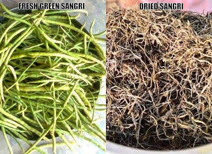  এটি কোষ্ঠকাঠিন্য দূর করতে সাহায্য করে। এছাড়াও, মরুভূমিতে বসবাসকারী মানুষের জন্য একটি বুস্টার ডোজ হিসেবে কাজ করে সাংরি। এর গ্লাইসেমিক ইনডেক্স কম, ফলে এটি রক্তে শর্করার মাত্রা নিয়ন্ত্রণে সাহায্য করে। 