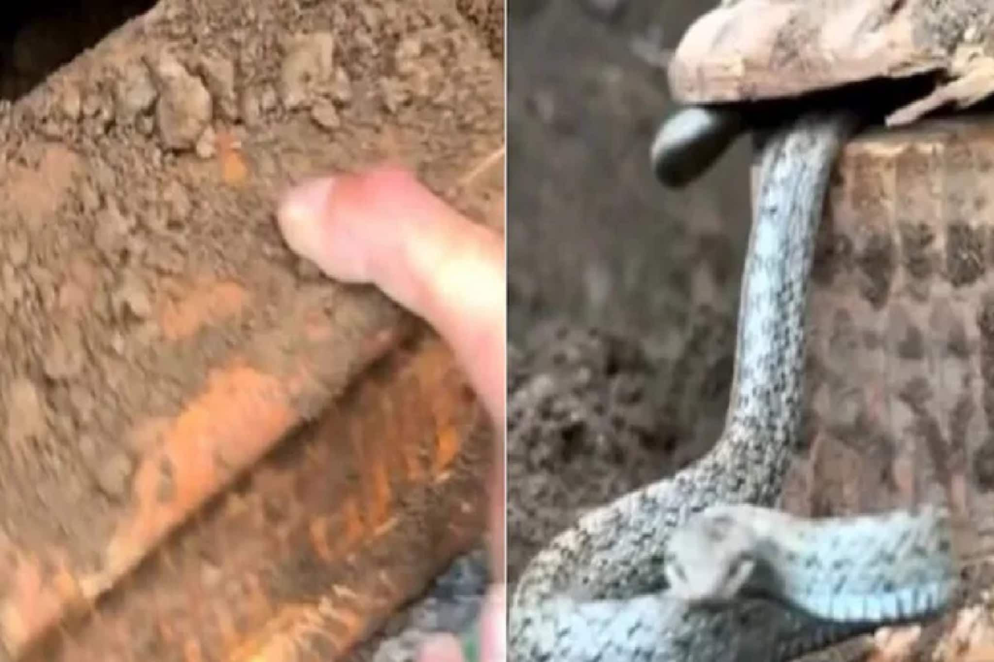 মাটির নীচ থেকে কিসের শব্দ আসছে? খুঁড়তে খুঁড়তে বেরিয়ে পড়ল এমন এক 'জিনিস'...দেখে হতবাক সবাই!