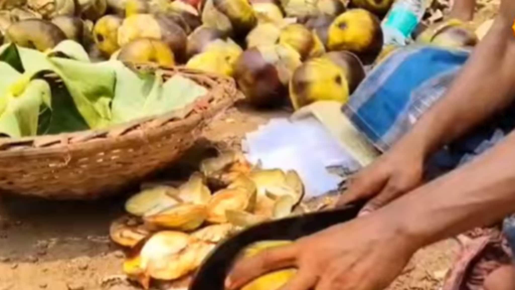 গরম এলেই কদর বাড়ে এই গাছের, কারণটা কী?