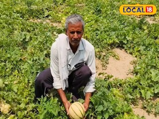 ইউটিউব থেকে বীজ সম্পর্কে তথ্য পেয়ে তিনি কেবল নতুন জাতের চাষ শুরুই করেননি, বরং কম খরচে ভাল ফলন এবং লাভ দুই পাচ্ছেন।