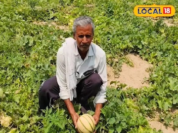 ইউটিউব থেকে বীজ সম্পর্কে তথ্য পেয়ে তিনি কেবল নতুন জাতের চাষ শুরুই করেননি, বরং কম খরচে ভাল ফলন এবং লাভ দুই পাচ্ছেন।