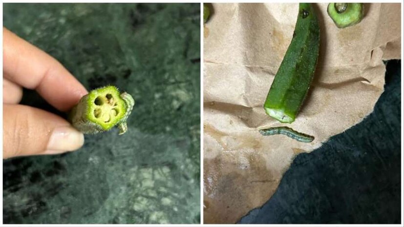 এই সবজিগুলো কাঁচা খেলে অথবা সঠিকভাবে পরিষ্কার না করলে ফিতাকৃমি শরীরে প্রবেশ করতে পারে। শুধুমাত্র নির্দিষ্ট সবজিকে ফিতাকৃমির সঙ্গে যুক্ত করা ভুল। যেকোনও খাবার বা পানীয় ফিতাকৃমি দ্বারা সংক্রামিত হতে পারে।