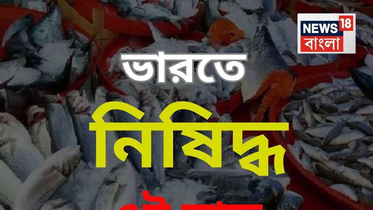 ভারতে ২৫ বছর ধরে নিষিদ্ধ ‘এই’ মাছ! তা-ও দেদার ঢোকে বাজারে, আপনিও কেনেন…বিক্রি হয় ২০০-২৫০ টাকা কেজি দরে