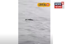 লঞ্চ পেরচ্ছিল গঙ্গা! হঠাৎই মাঝ নদীতে ওটা কী...হ্যাঁ কুমিরই তো! পুরো ভিডিও না দেখলেই মিস