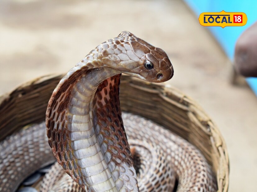 শর্তত্যাগ: শুধুমাত্র আপনাদের সচেতনতার উদ্দেশ্যেই এই প্রতিবেদনটি লেখা হয়েছে। আমরা এই লেখায় সাধারণ জ্ঞান ও দৈনন্দিন জীবনের কিছু সাধারণ তথ্য শেয়ার করেছি মাত্র। আপনি যদি কোথাও আপনার স্বাস্থ্য, জীবন ও বিজ্ঞানের যোগ সম্পর্কিত কিছু পড়েন তবে তা গ্রহণ করার আগে অবশ্যই একজন বিশেষজ্ঞের পরামর্শ নিন।