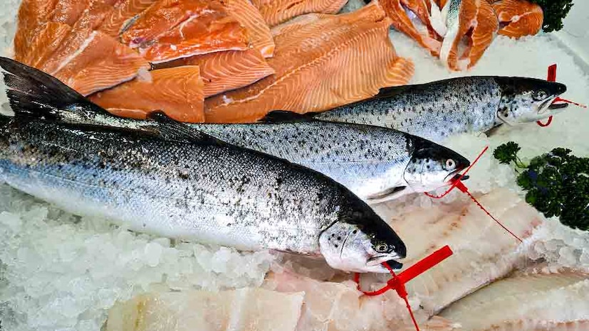 স্যামন মাছ: স্যামন মাছ সবচেয়ে জনপ্রিয় ফ্যাটি মাছগুলির মধ্যে একটি এবং এর উচ্চ ওমেগা-৩ উপাদানের জন্য এটি ব্যাপকভাবে পরিচিত। EPA এবং DHA নামক এই ওমেগা-৩, প্রদাহ কমাতে, ক্ষতিকারক ট্রাইগ্লিসারাইড কমাতে এবং মস্তিষ্কের স্বাস্থ্যকে ভাল রাখতে ম্যাজিকের মতো কাজ করে।