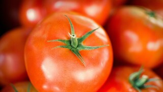 ফ্রিজ নেই তো চিন্তাও নেই! এই টিপসেই এক সপ্তাহ পর্যন্ত টমেটো রাখুন তরতাজা...