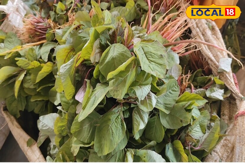 এই ধরণের সমস্যায় কিন্তু এই ঘেনারী শাক ১০০% সমাধান। তবে মনে রাখবেন, শুধু হাড়ের সমস্যা হলেই এটি খাওয়া শুরু করবেন, তা না, বরং হাড়ের সুস্বাস্থ্যের জন্য আগে থেকেই আপনার খাদ্যতালিকায় অন্তর্ভুক্ত করুন এই শাকটি।