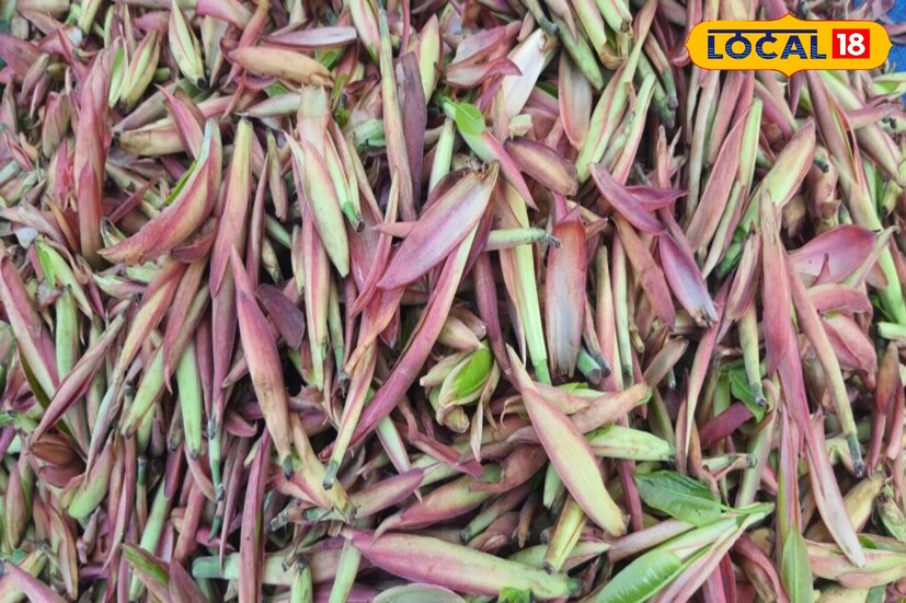 সুস্বাস্থ্যের জন্য এটি খুবই কার্যকর একটি শাক। তবে খুব বেশি তেল এবং মশলা মিশিয়ে এটি না খাওয়ার চেষ্টা করুন। সাদামাটা ভাবে খেলেই আপনি এই শাকের সমস্ত পুষ্টি উপাদান পাবেন।