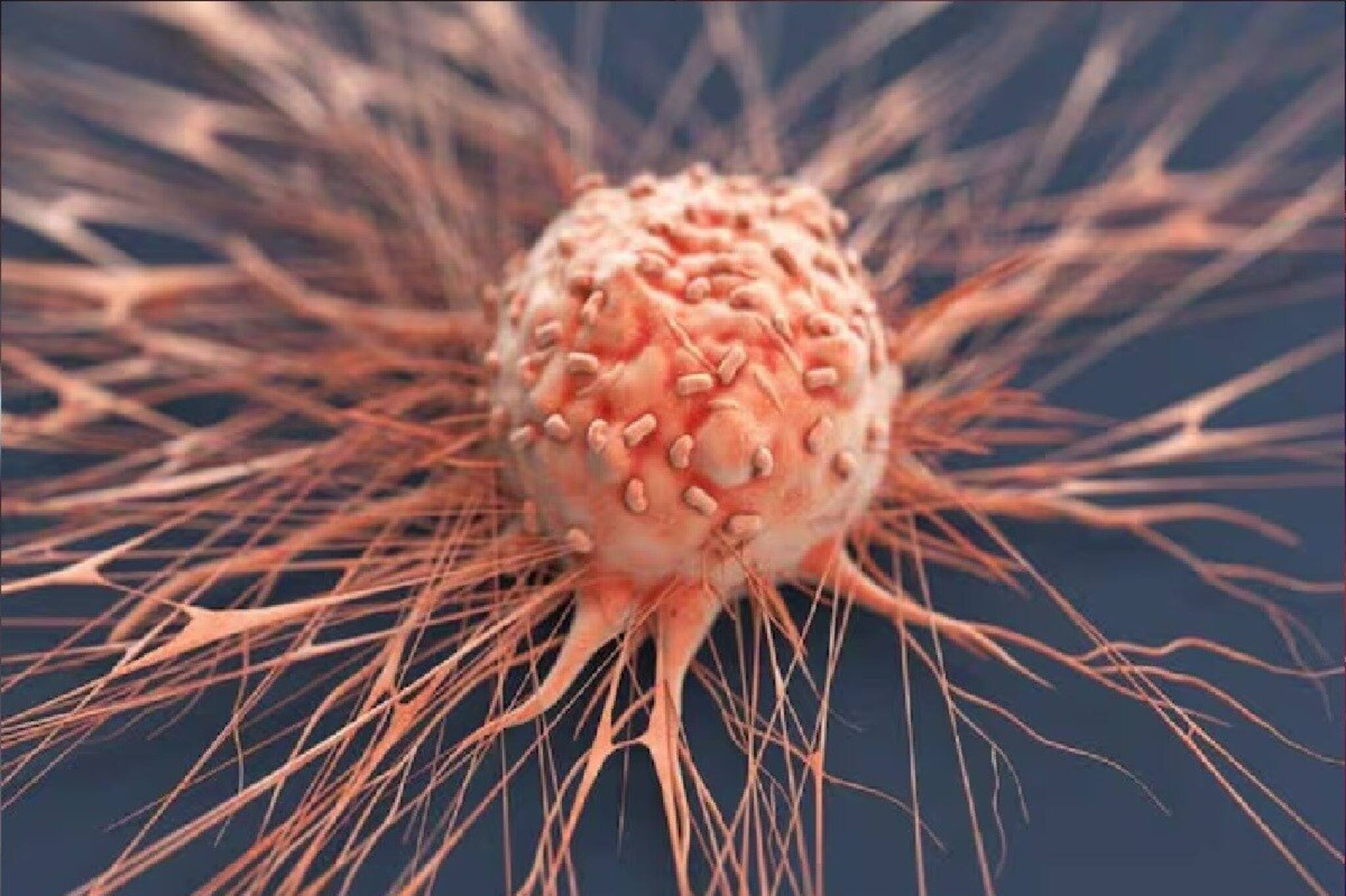 সস্তার এই ৫ সবজিতেই ক্যানসারের 'মহৌষধ', শুকিয়ে দেয় ক্যানসার কোষ, কর্কট রোগ ছড়াতেই পাড়ে না