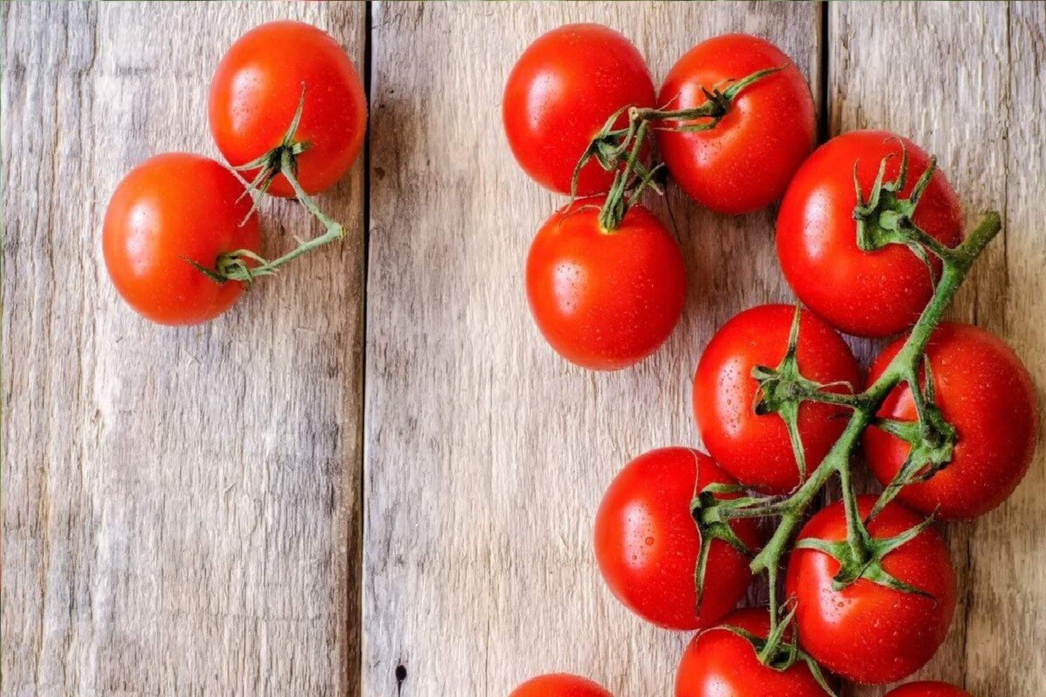 অনেকেই সঠিক খবরটা জানেন না! টম‍্যাটো খেলে আদৌ কি আদৌ বাতের যন্ত্রণা বাড়ে? উঠে এল সত্যি