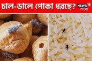 বৃষ্টির দিন এলেই চালের ড্রামে গিজগিজ করে কালো কালো পোকা? কৌটোয় রাখুন এই 'একটা' জিনিস!