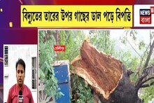 কয়েক মিনিটের জড়ে লন্ডভন্ড মেদিনীপুর শহর, বিদ্যুতের তারের উপর গাছের ডাল পড়ে বিপত্তি