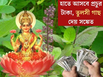 তুলসী গাছে এই কয়েকটি লক্ষণ দেখলেই বুঝবেন ঘর ভরে উঠবে টাকায়! ধনী হওয়ার সঙ্কেত চিনে নিন
