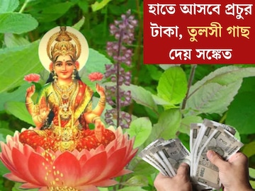 তুলসী গাছে এই কয়েকটি লক্ষণ দেখলেই বুঝবেন ঘর ভরে উঠবে টাকায়! ধনী হওয়ার সঙ্কেত চিনে নিন তুলসী গাছে এই কয়েকটি লক্ষণ দেখলেই বুঝবেন ঘর ভরে উঠবে টাকায়! ধনী হওয়ার সঙ্কেত চিনে নিন