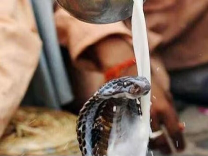 সাপকে দেবতা হিসেবে বিবেচনা করা হয়। যদিও সাপের কখনও ক্ষতি করা উচিত নয়, তবে বিশেষ করে নাগ পঞ্চমীর দিনে সাপকে আঘাত করবেন না। এতে করে বংশ পরম্পরায় আগামী সাতজন্মের জন্য দোষের অংশীদার হতে হয়।