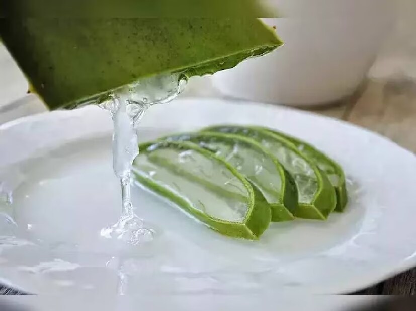এছাড়াও ঘৃতকুমারী গাছ ঔষধি গুণে পরিপূর্ণ। সাধারণত মানুষ তাদের স্বাস্থ্য এবং ত্বকের যত্ন নিতে এটি প্রতিদিন ব্যবহার করে থাকেন। অ্যালোভেরা জেল ত্বকের নানা ধরনের সমস্যা নিরাময়ে সাহায্য করতে পারে। আসুন জেনে নিই কীভাবে অ্যালোভেরা জেল থেকে ত্বকের সিরাম প্রস্তুত করা যায়৷