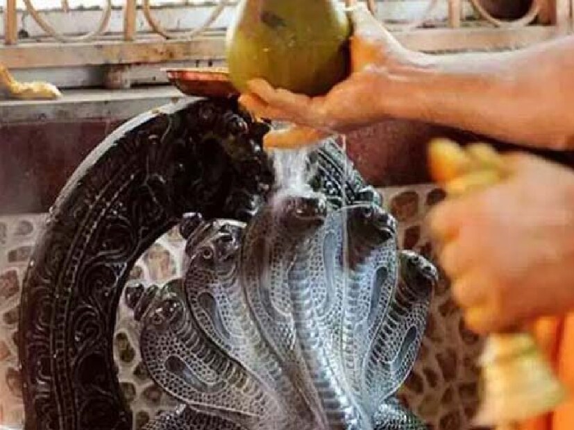 নাগ পঞ্চমী ২০২৫: ২০২৫ সালে, শ্রাবণ মাস ১৭ জুলাই শুরু হয়ে ১৭ অগাস্ট শেষ হবে। নাগ পঞ্চমী উৎসব পালিত হবে ২৯ জুলাই, ২০২৫, যা মঙ্গলবার। 