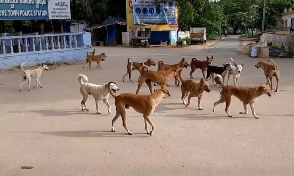 এই অভূতপূর্ব ঘটনায় হাসপাতালের চিকিৎসক, নার্স থেকে রোগীর আত্মীয়-স্বজন— সকলেই স্তব্ধ হয়ে যান। খুব সহজেই প্রাণঘাতী দুর্ঘটনা হতে পারত বলেই উদ্বেগ প্রকাশ করেছেন অনেকেই।