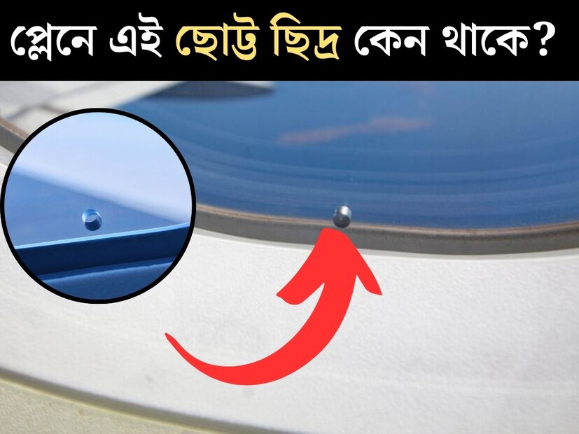 সদ&#x200d;্য ঘটে যাওয়া বিমান দুর্ঘটনার স্মৃতি এখনও তাজা। এয়ার ইন্ডিয়ার বিমান ভেঙে পড়ার পর থেকেই প্লেনের খুঁটিনাটি বিষয় নিয়ে আরও আগ্রহ বেড়েছে সাধারণ মানুষের। প্লেনের সম্পর্কে অনেক কিছুই বেশিরভাগ জনের অজানা। 